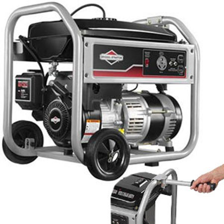Picture for category Briggs & Stratton-318
