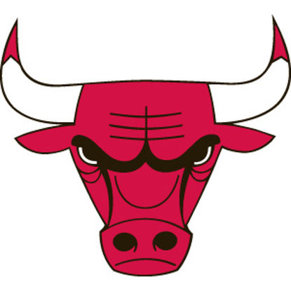 Picture of PowerDecal NBA (R) Series Chicago Bulls Powerdecal PWR72001 03-1547                                                          