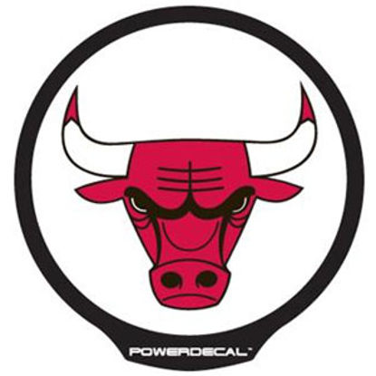 Picture of PowerDecal NBA (R) Series Derrick Rose Powerdecal PWRNBA72001 03-1773                                                        