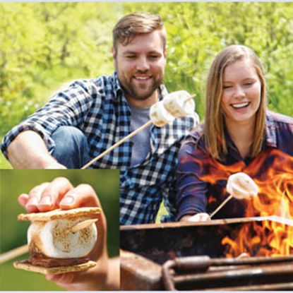 Picture of Coghlan's  12-Pack 30"L Campfire Roasting Fork Holds Hotdogs/ Marshmellows/ Veggie Skew 1775 03-2112                         