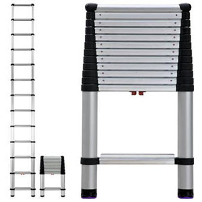 Picture of Telesteps Professional 16' Pro Telescoping Ladder 1600EP 05-0025                                                             