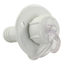 Picture of JR Products  White Vinyl Drain Trap 95185 10-1758                                                                            