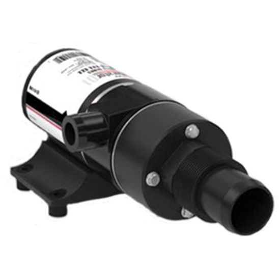 Picture of Remco PowerRV Series 24V/ 7A 1-1/2" Hose Barb Inlet/ 1-1/2" NPT Outlet Macerator Pump 9911-02-24 11-0355                     