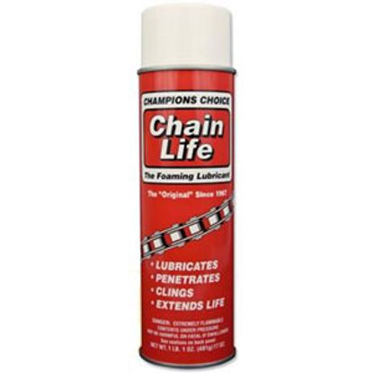 Picture of Thetford Chain Life 17 oz Aerosol Can Chain Lube 35017PA 13-1527                                                             