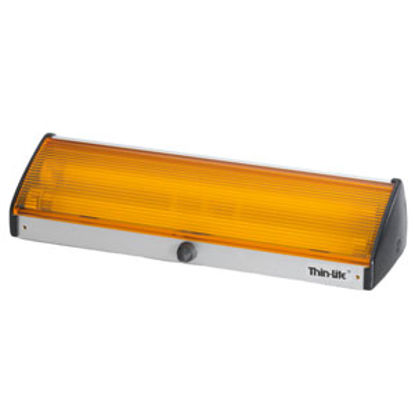 Picture of Thin-Lite  Clear Lens Rectangular LED Porch Light w/Switch DIST-LED162CP 18-0813                                             