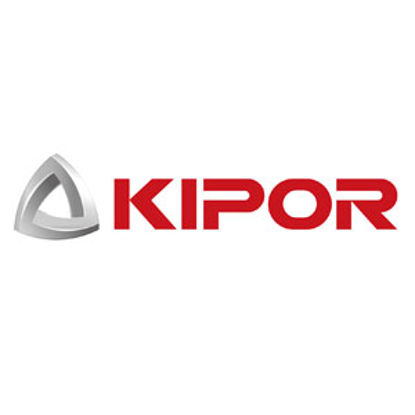 Picture of Kipor  Gasoline Generator Fuel Filter KGE12E-11010 48-0084                                                                   