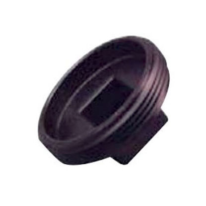 Picture of Lasalle Bristol  Black ABS 1-1/4" MPT Cleanout Plug 633050 69-6015                                                           
