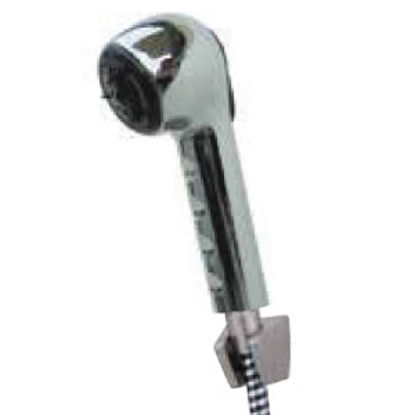 Picture of Relaqua  Chrome Handheld Shower Head w/2 Spray Settings & 60" Hose AS-150C 69-7095                                           