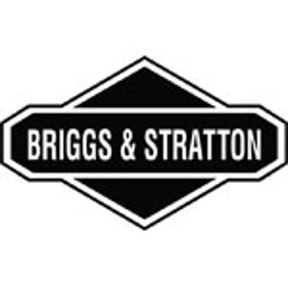 Picture for manufacturer Briggs & Stratton