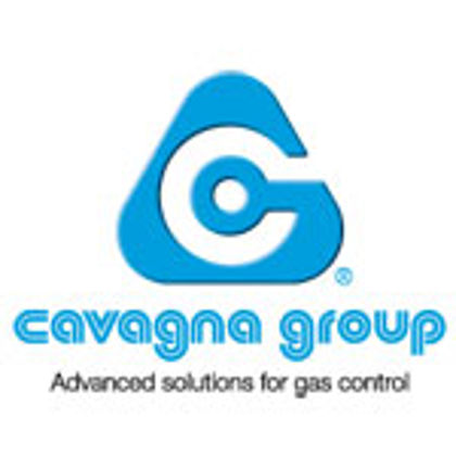 Picture for manufacturer Cavagna